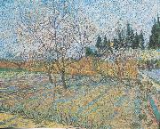 Vincent Van Gogh Flowering orchard with peach-trees France oil painting artist